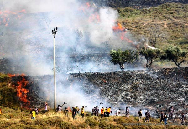 palestinian-olive-farm-burning-burin-village-near-nablus-yitzhar-settlement