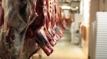 UK: BRADFORD MEAT FIRM FINED FOR FAKE HALAL MEAT