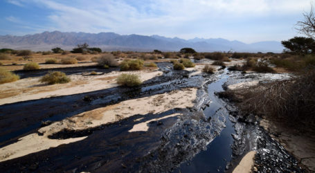 ‘MILLIONS OF LITERS’ OIL SPILLED IN ISRAEL, FLOODING NATURE RESERVE