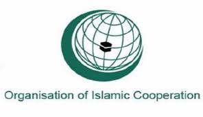 OIC CHIEF VOICES DEEP DISAPPOINTMENT OVER FAILURE OF PALESTINIAN RESOLUTION AT UN