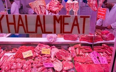 MILLIONS MORE ANIMALS ARE SLAUGHTERED FOR HALAL FOOD