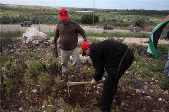 ISRAELI FORCES DETAIN PA OFFICIAL DURING TREE PLANTING DEMO