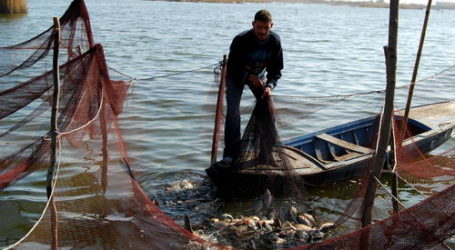 ARMED MILITIA KIDNAPS 21 EGYPTIAN FISHERMAN IN LIBYA