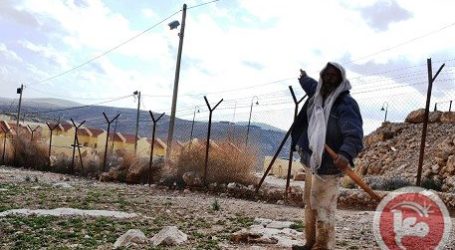 ISRAELI FORCES ARREST BEAT MAN IN SOUTH HEBRON HILLS