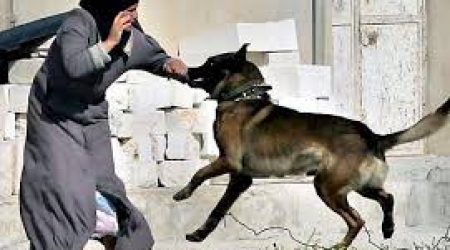 ISRAEL DOG ATTACK ON PALESTINIAN BOY ‘SADISTIC’