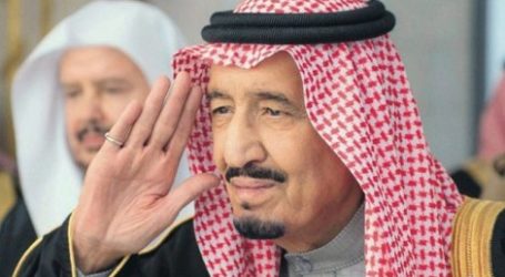 SAUDI ARABIA STOPS BUSINESS VISAS TO SWEDES