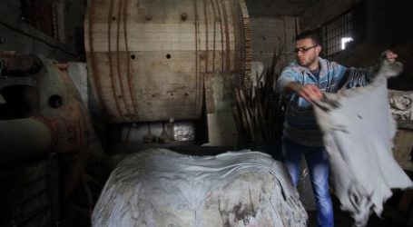PALESTINIAN TANNERIES AT RISK OF CLOSURE DUE TO ISRAELI RESTRICTIONS