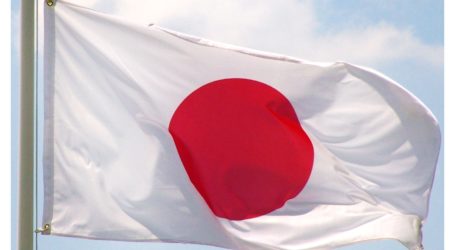 JAPAN DONATES $3m TO UN MINE ACTION SERVICE IN GAZA