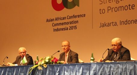 PALESTINE  HOPES ASIAN-AFRICAN SUPPORT WOULD END OCCUPATION
