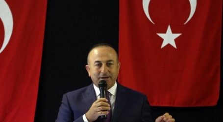 TURKEY OFFERS HELP FOR ROHINGYA MUSLIMS: FM