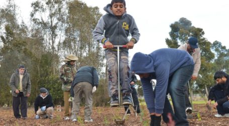 AUSSIE MUSLIMS SPREAD HARMONY BY PLANTING TREES