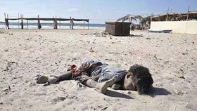 NGO’S CALL FOR RE-INVESTIGATING THE KILLING OF 4 CHILDREN ON GAZA BEACH
