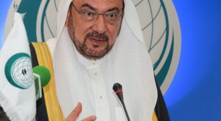 OIC CHIEF DEMONSTRATE COMMITMENT TO PEACE IN ALL VIABLE WAYS