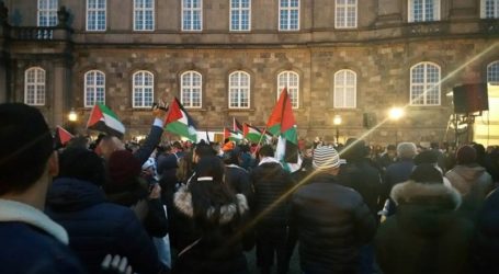 PRO-PALESTINE DEMONSTRATIONS IN EUROPE CONDEMN OCCUPATION ATTACKS