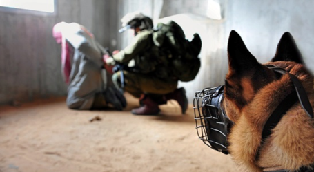 ISRAEL USED DUTCH DOGS TO TERRORIZE PALESTINIANS
