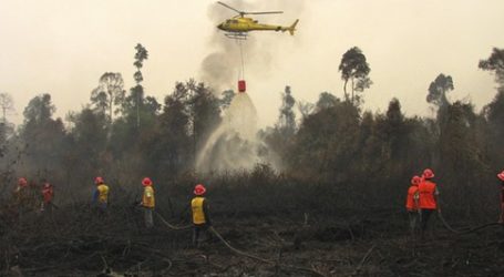 Indonesia Affirms that Forest and Land Fire Research Must be Data-Based