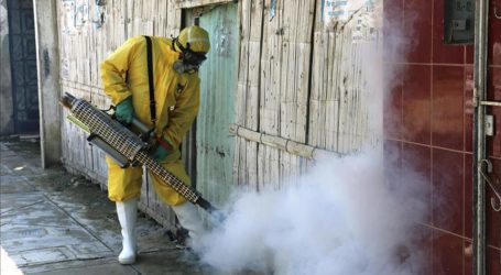 Zika Virus A Global Emergency, Says UN Health Body