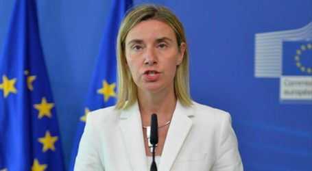 EU Calls For End To Fighting In Syria