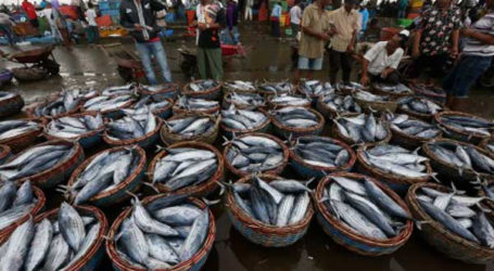 President Wants Natuna to be Regional Fish Auction Center