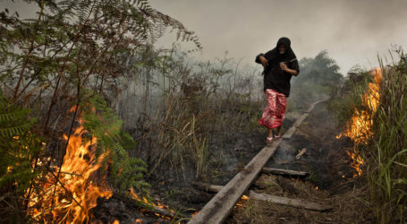 Indonesia on Forest Fire Alert