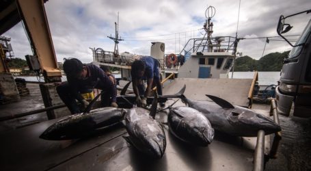 Indonesia Takes Precautions to Respond US New Fish Import Regulation