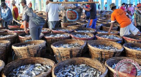 Indonesia’s Fish Exports Rise 3.69 Pct in First 8 Months