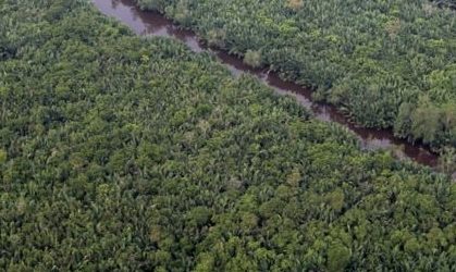 President Jokowi Targets 400,000 Hectares of Peatland Restoration in 2017