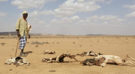 UK Announces £10 million For Somalia’s Drought Relief Efforts