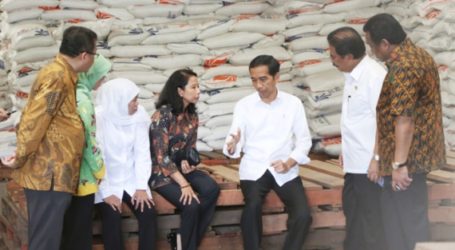 Indonesian Government Continues to Buy Paddy Grain from Farmers to Stabilize Prices