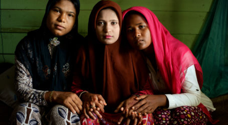 Doctors Seek Support for Rohingya Muslims