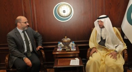 OIC Chief Holds Consultation with UN Humanitarian Coordinator for Palestine