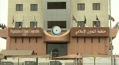 OIC Condemns Terrorist Attacks on Two Police Stations in Burkina Faso