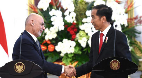 Jokowi Hopes for Immediate Implementation of Indonesia-Afghanistan Agreements