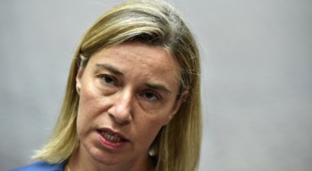 EU Encouraged by New Opportunities to Resolve Palestine Question