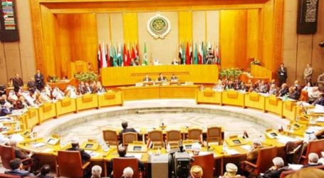 Arab Parliament Drafts Action Plan to Counter Israeli Influence in Africa