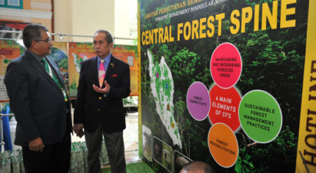 Malaysia Ready to Help Put Out Indonesian Forest Fires