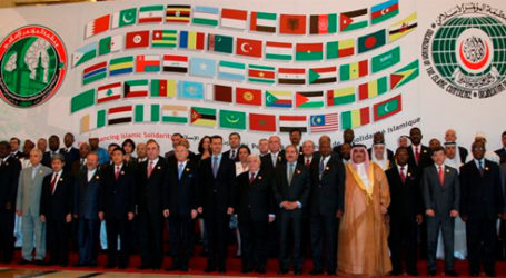 OIC Executive Committee to Hold Emergency Meeting in Istanbul Tuesday