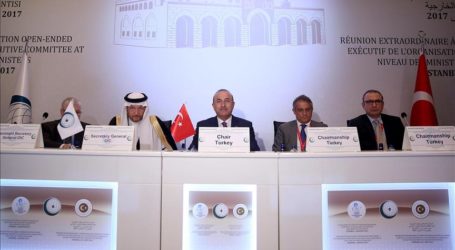 Turkey’s FM Urges Support for Palestinian Statehood
