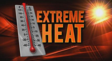 Extreme Heat Poses Serious Risk to Pets as Heat Index Hits 66 Degrees Celsius