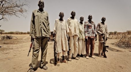 Sudan Targets Collecting 1.5 Million Weapons in West Darfur