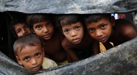 Protesters in Myanmar Block Aid to Rohingya