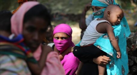 Rohingya Continue to Flee Violence: UN