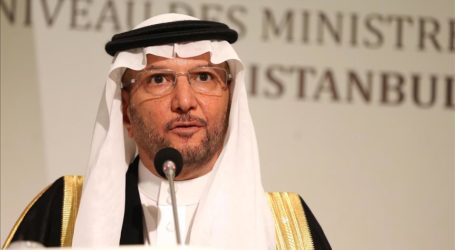 OIC Decries Mosque Massacre in Central African Republic