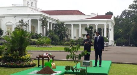 Ebony Diplomacy of Indonesia-Qatar Relationship