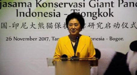 China-Indonesia Pandas Conservation Program Inaugurated