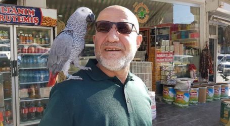 Turkish Man, Pet Parrot Gear up for Mecca Pilgrimage