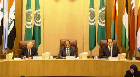 Arab League Says Stick to 2002 Peace Plan