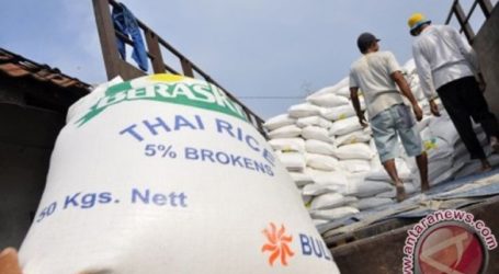 Government  Opens Rice Import Option