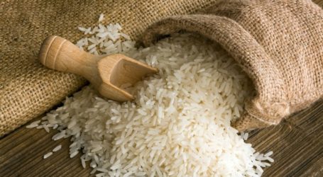 Indonesia Increases Rice Imports