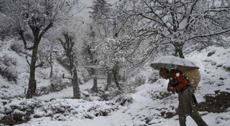 Intense Cold Wave Kills 187 People in North India